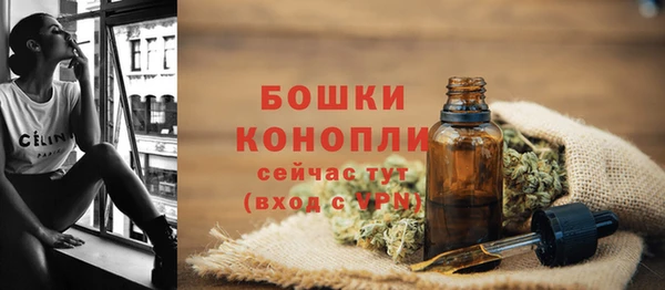 МДПВ Арсеньев