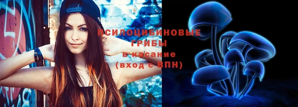 винт Армянск