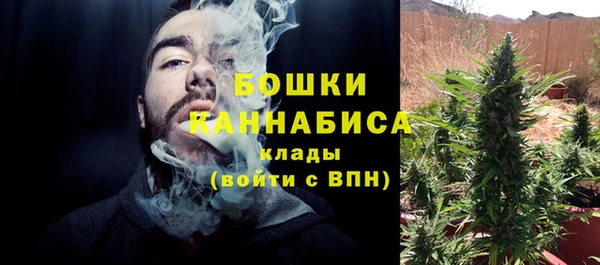 гашик Аркадак