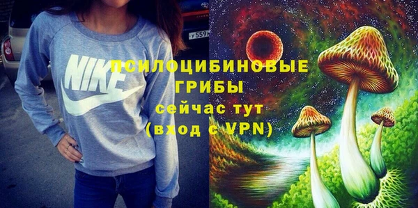 гашик Аркадак