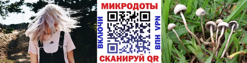 продажа наркотиков  Мурино  Галлюциногенные грибы Psilocybine cubensis 