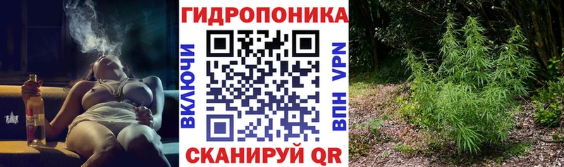 Бошки марихуана индика  мега маркетплейс  Мурино 